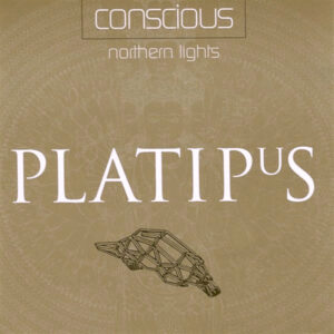 Conscious - Northern Lights (CD, Single) (Near Mint (NM or M-))