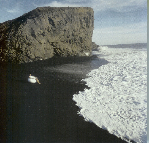 Gilles Peterson - Desert Island Mix (CD, Mixed, RE) (Near Mint (NM or M-)) - Image 4