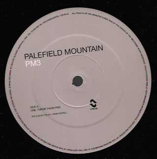 Palefield Mountain - PM3 (2x12", Ltd) (Near Mint (NM or M-)) - Image 2