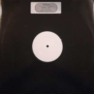 God Within - The Phoenix (12", Unofficial, W/Lbl) (Very Good Plus (VG+))
