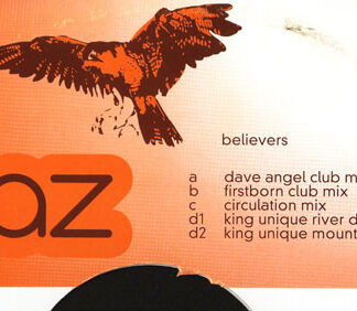Baz - Believers (2x12") (Near Mint (NM or M-))