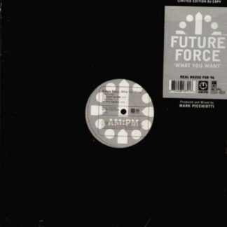 Future Force - What You Want (2x12", Ltd, Promo) (Near Mint (NM or M-))