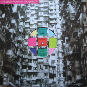 The Blow Monkeys - This Is Your Life (12", Die) (Very Good Plus (VG+))