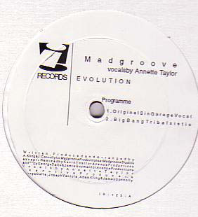 Madgroove - Evolution (12", Maxi) (Very Good Plus (VG+))