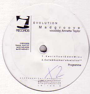 Madgroove - Evolution (12", Maxi) (Very Good Plus (VG+)) - Image 2