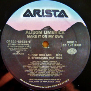 Alison Limerick - Make It On My Own (12") (Very Good Plus (VG+))