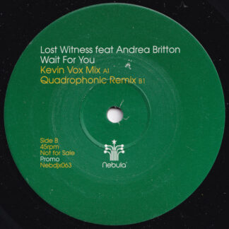 Lost Witness Feat Andrea Britton - Wait For You (12", Promo) (Near Mint (NM or M-))