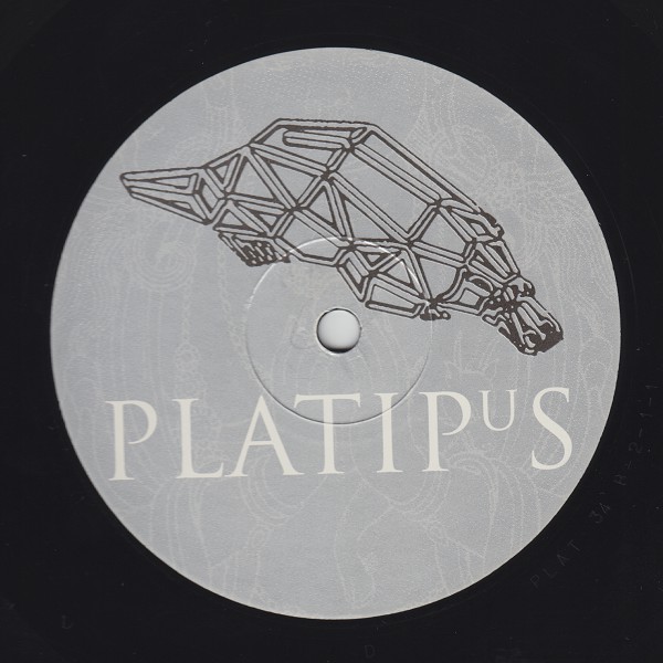 Chromium - Chrome (12") (Very Good Plus (VG+)) - Image 2