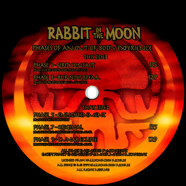 Rabbit In The Moon - Phases Of An Out-Of-Body Experience (12") (Very Good Plus (VG+)) - Image 3