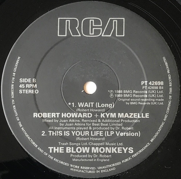 The Blow Monkeys - This Is Your Life (N-Ten City Remix) (12") (Very Good (VG)) - Image 5