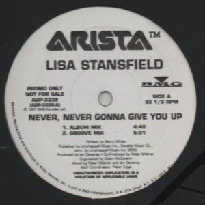 Lisa Stansfield - Never, Never Gonna Give You Up (12", Promo) (Near Mint (NM or M-))