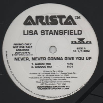 Lisa Stansfield - Never, Never Gonna Give You Up (12", Promo) (Near Mint (NM or M-))