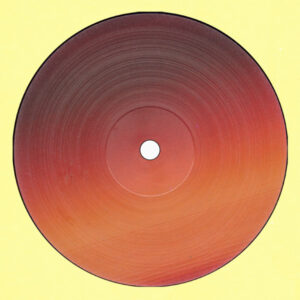Planetary Assault Systems - Archives Two (2x12", Comp) (Very Good Plus (VG+))