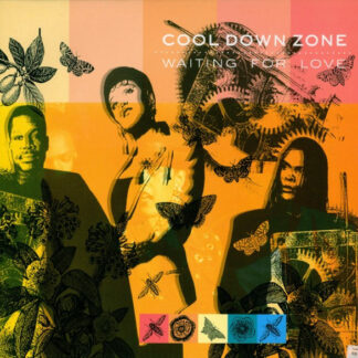Cool Down Zone - Waiting For Love (12") (Very Good Plus (VG+))