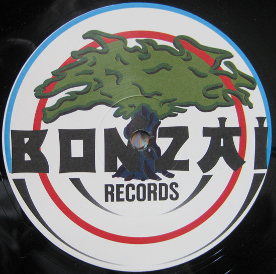 Da Hool - Get Funky (12") (Near Mint (NM or M-)) - Image 2