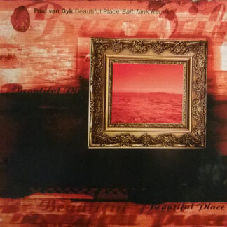 Paul van Dyk - Beautiful Place (Salt Tank Remix) (12") (Near Mint (NM or M-))