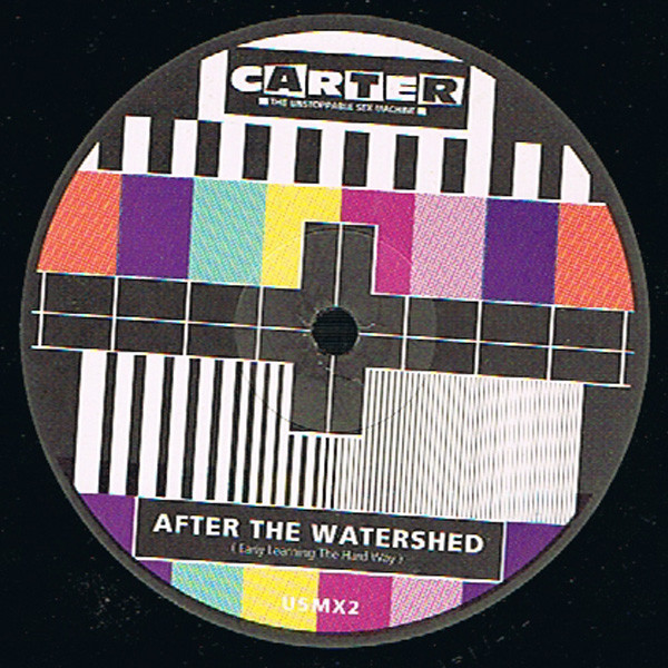 Carter The Unstoppable Sex Machine - After The Watershed (Early Learning The Hard Way) (12", Single) (Very Good (VG)) - Image 3