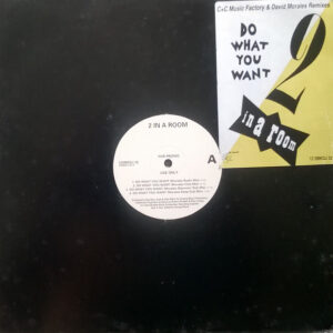 2 In A Room - Do What You Want (Remixes) (12", Promo) (Very Good Plus (VG+))