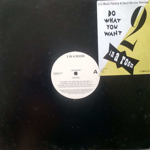 2 In A Room - Do What You Want (Remixes) (12", Promo) (Very Good Plus (VG+))
