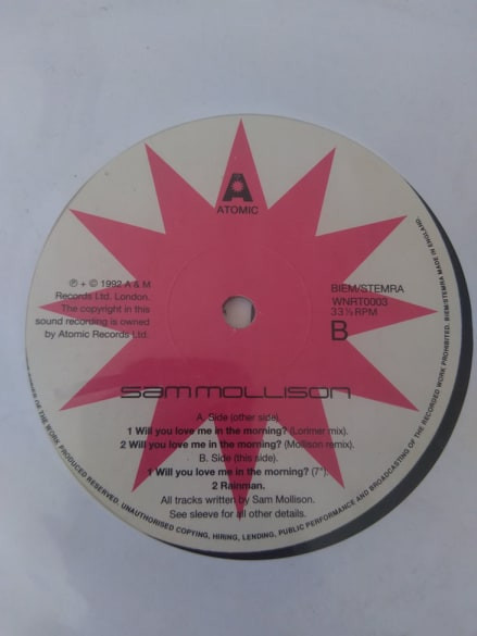 Sam Mollison - Will You Love Me In The Morning (12") (Very Good Plus (VG+)) - Image 2