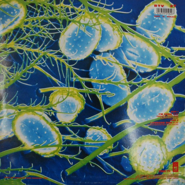The Soup Dragons - I'm Free (12") (Very Good Plus (VG+)) - Image 2