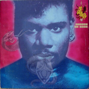 Snap! - Colour Of Love (12") (Very Good Plus (VG+))