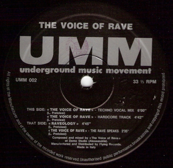 The Voice Of Rave - The Voice Of Rave (12") (Very Good Plus (VG+))