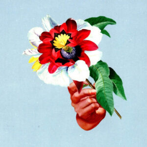 Maribou State - Kingdoms In Colour (CD, Album) (Mint (M))