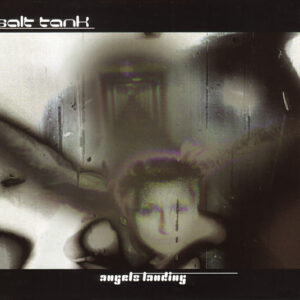 Salt Tank - Angels Landing (CD, Single) (Very Good Plus (VG+))