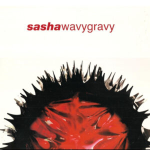Sasha - Wavy Gravy (12") (Very Good Plus (VG+))