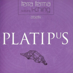 Terra Ferma Featuring I-Ching - Obelix (CD, Maxi) (Very Good Plus (VG+))