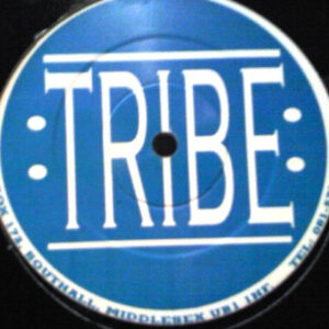 Unknown Artist - Dub My Love (12", Promo, W/Lbl) (Very Good (VG))