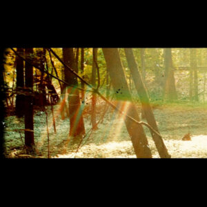 Childish Gambino - Camp (CD, Album) (Near Mint (NM or M-))