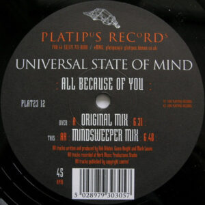 Universal State Of Mind - All Because Of You (12") (Very Good Plus (VG+))