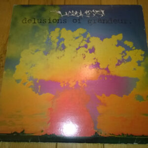 Various - Delusions Of Grandeur (2xLP) (Very Good Plus (VG+))